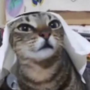 Meet your Posher, Oliver